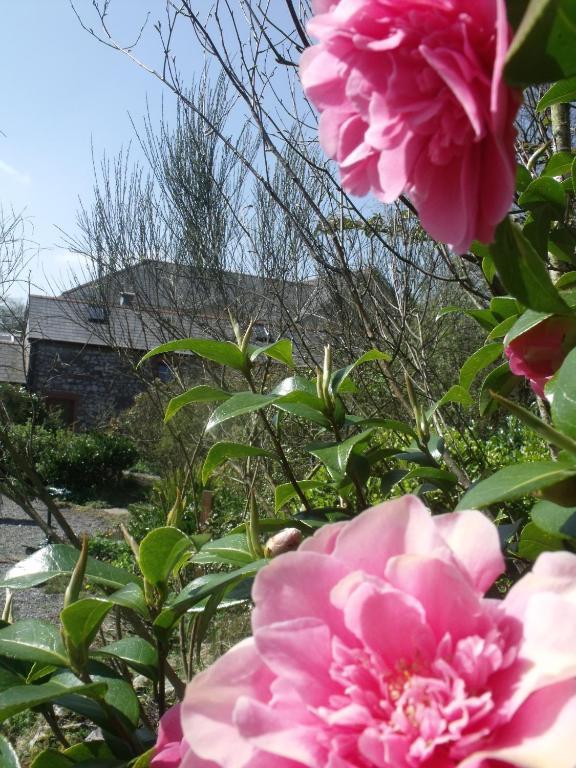 Hotel Stag Coach House Carmel Exterior foto